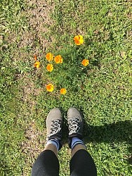 feet and flower