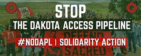 nodapl-solidarity