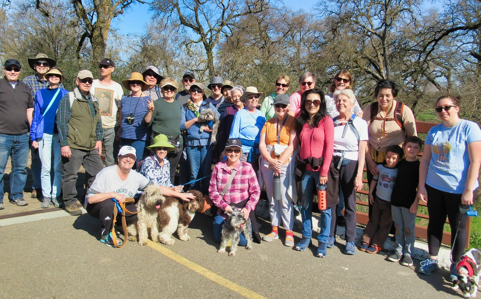 local dog walking groups near me