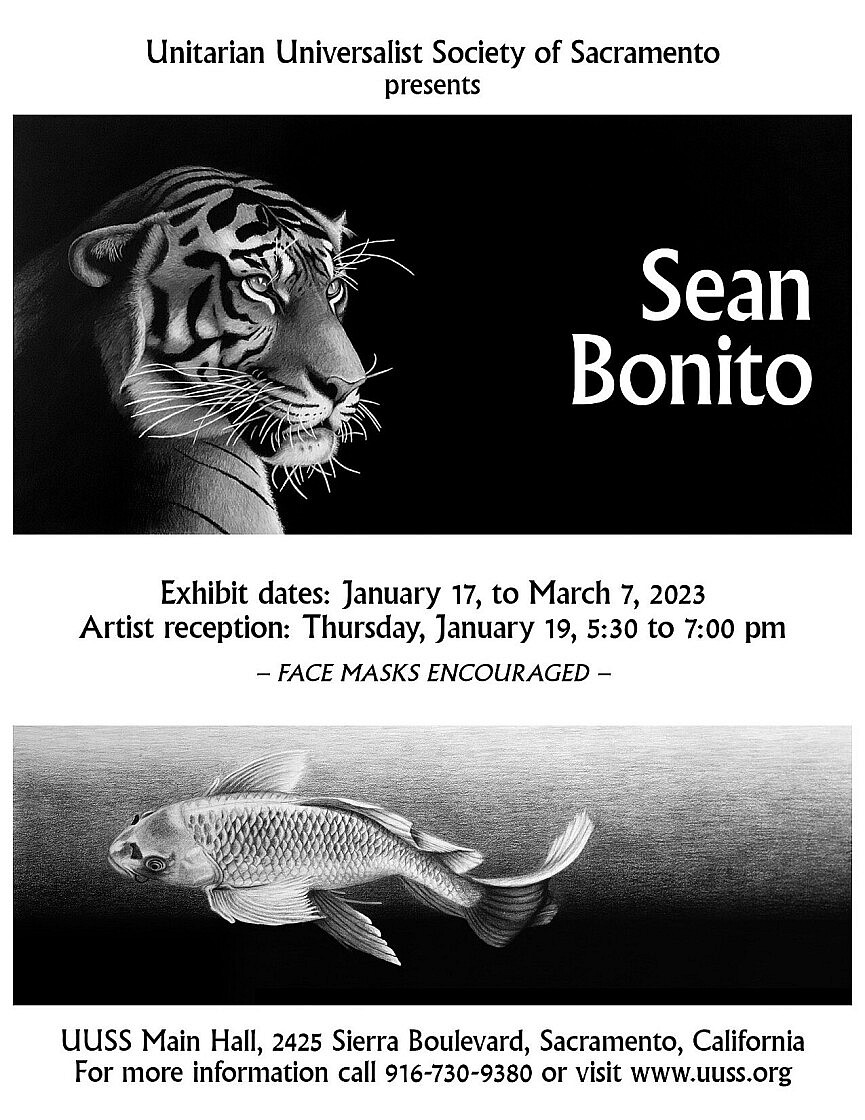 Sean Bonito Poster 85x11