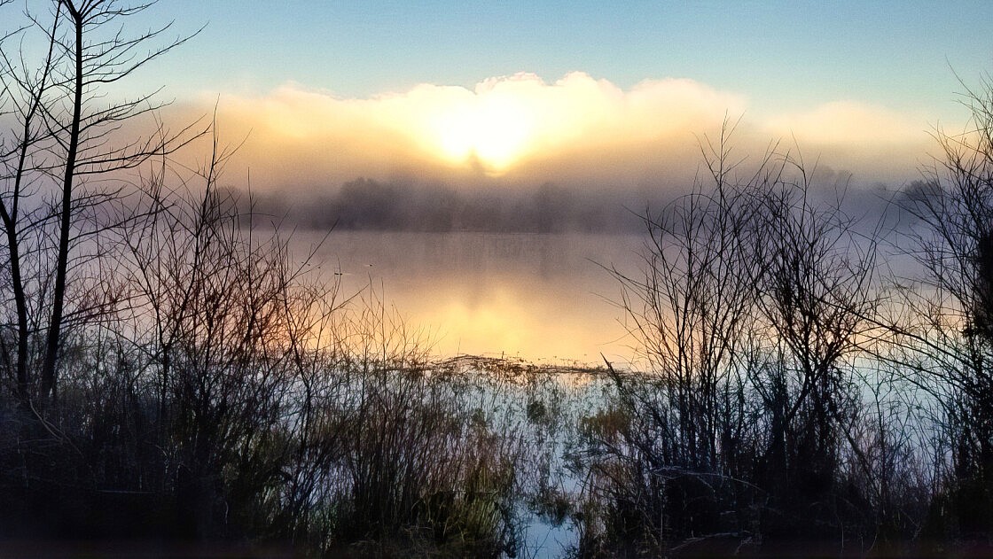 american river after dawn