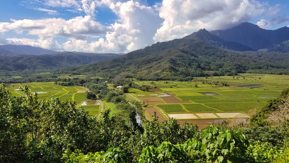 Hanalei lookout-topaz