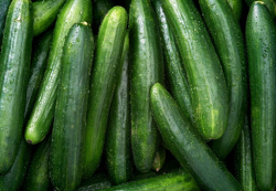 cucumber