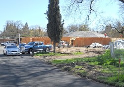 DSCN1356