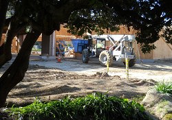 DSCN1364