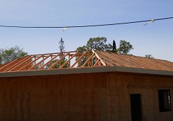 DSCN1395