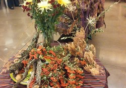 IMG_20151122_102519