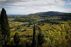 Clears-Tuscan-Dinner-Al-Fresco