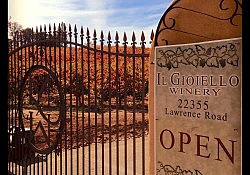 Dierdre and David's Winery Adventure
