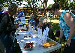 Activity-Fair-2016-Abby-6931