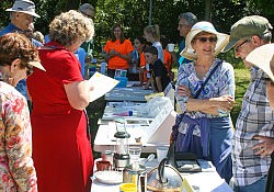 Activity-Fair-2016-Abby-6954