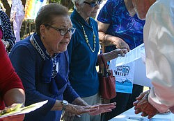 Activity-Fair-2016-Abby-6971