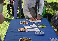 Activity-Fair-2016-Abby-6986