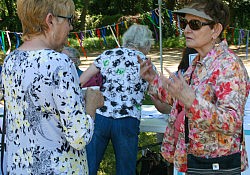 Activity-Fair-2016-Abby-6997