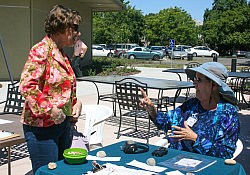 Activity-Fair-2016-Abby-7026