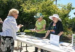 Activity-Fair-2016-Abby-7039