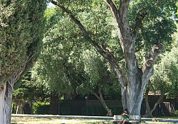 Activity-Fair-2016-Abby-7072