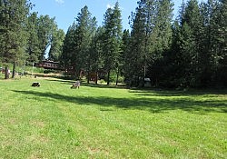 Camp Norge 2016-207