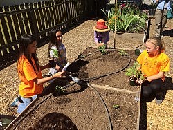 RE in the Garden (May 1st)