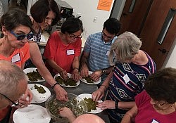 uujme-palestinian-cooking-class-9