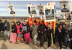 nodapl