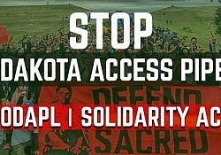 nodapl-solidarity