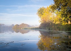 November Morning, American River Parkway