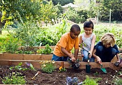 community-garden-kids-plant-590jn071410-1279147997