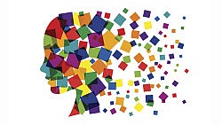 TED Talks, “Decoding Our Emotions”