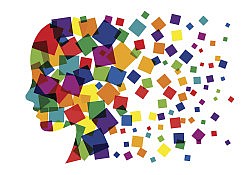 decoding our emotions