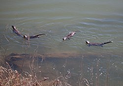 IMG_7881