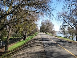 Saturday 1/25 hike on Sacramento River Bike Trail at Garcia Bend Park