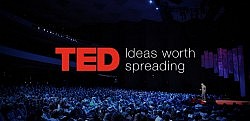 TED Talk - Power of Vulnerability