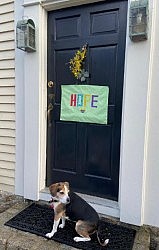 Make a little hope for the world to see