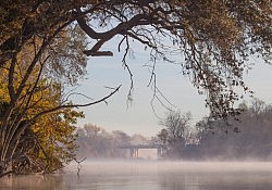 Watt Avenue Bridge