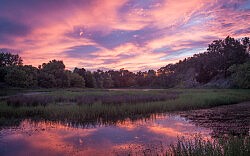 Finding Light On The Parkway, Wednesday, May 13, 2020