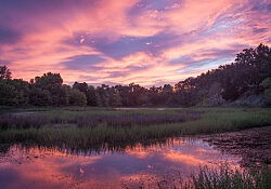 Sunset, ARPF_Dawson