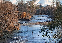 Lower American River, William Pond Park_Dawson