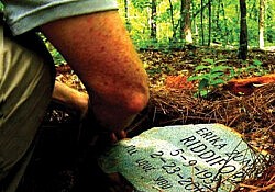 dying-green