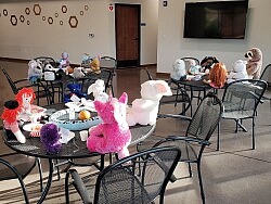 Sharing a mid-day meal in our Welcome Hall. We miss our humans so much while spending time on the beautiful UUSS campus.