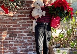 roger xmas tree2