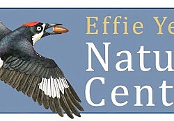 effie yeaw nature center logo2