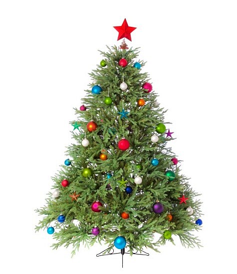 Christmas tree for Minister Message 12 16 16