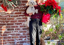 roger and lilly christmas