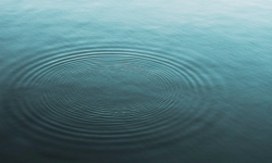 February Soul Matters Theme: Widening the Circle