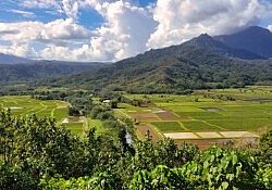 Hanalei lookout-topaz