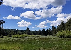 Sagehen Creek trail