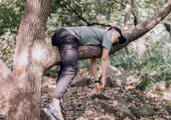 guy resting on tree