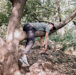 guy resting on tree