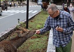 roger feeding animal